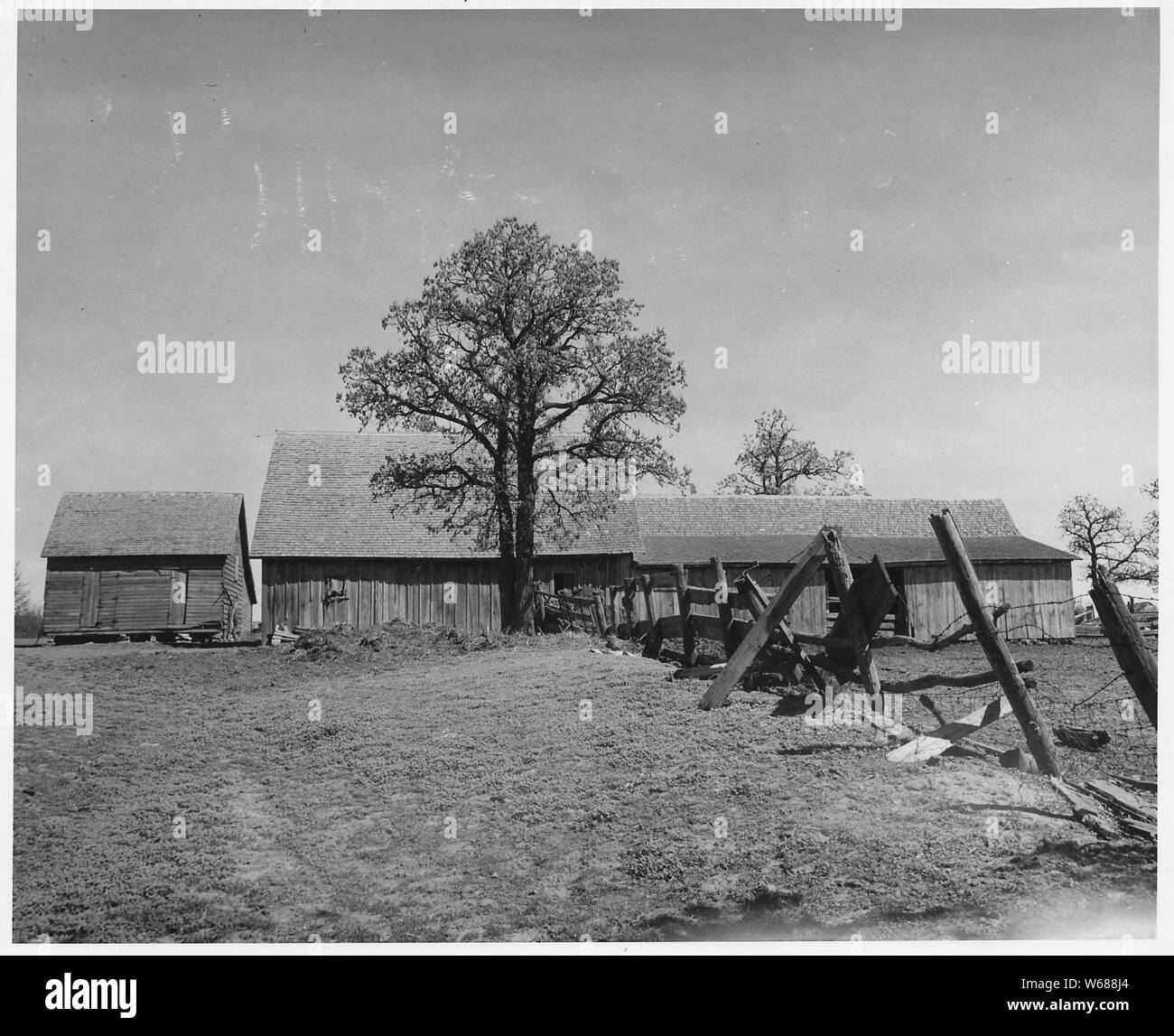 Shelby County, Iowa. Gebäude auf einer der wenigen heruntergekommenen Orte in der Grafschaft. Der Betreiber dieser. . .; Umfang und Inhalt: Die Bildunterschrift lautet wie folgt: Shelby County, Iowa. Gebäude auf einer der wenigen heruntergekommenen Orte in der Grafschaft. Die Betreiber der Farm ist ein alter Mann, und nicht verdienen genug, um Sie mit modernen Strukturen zu ersetzen. Weit unter dem lokalen Durchschnitt, diese Service Gebäude vergleichen sehr vorteilhaft mit anderen Regionen, insbesondere im Süden. Stockfoto