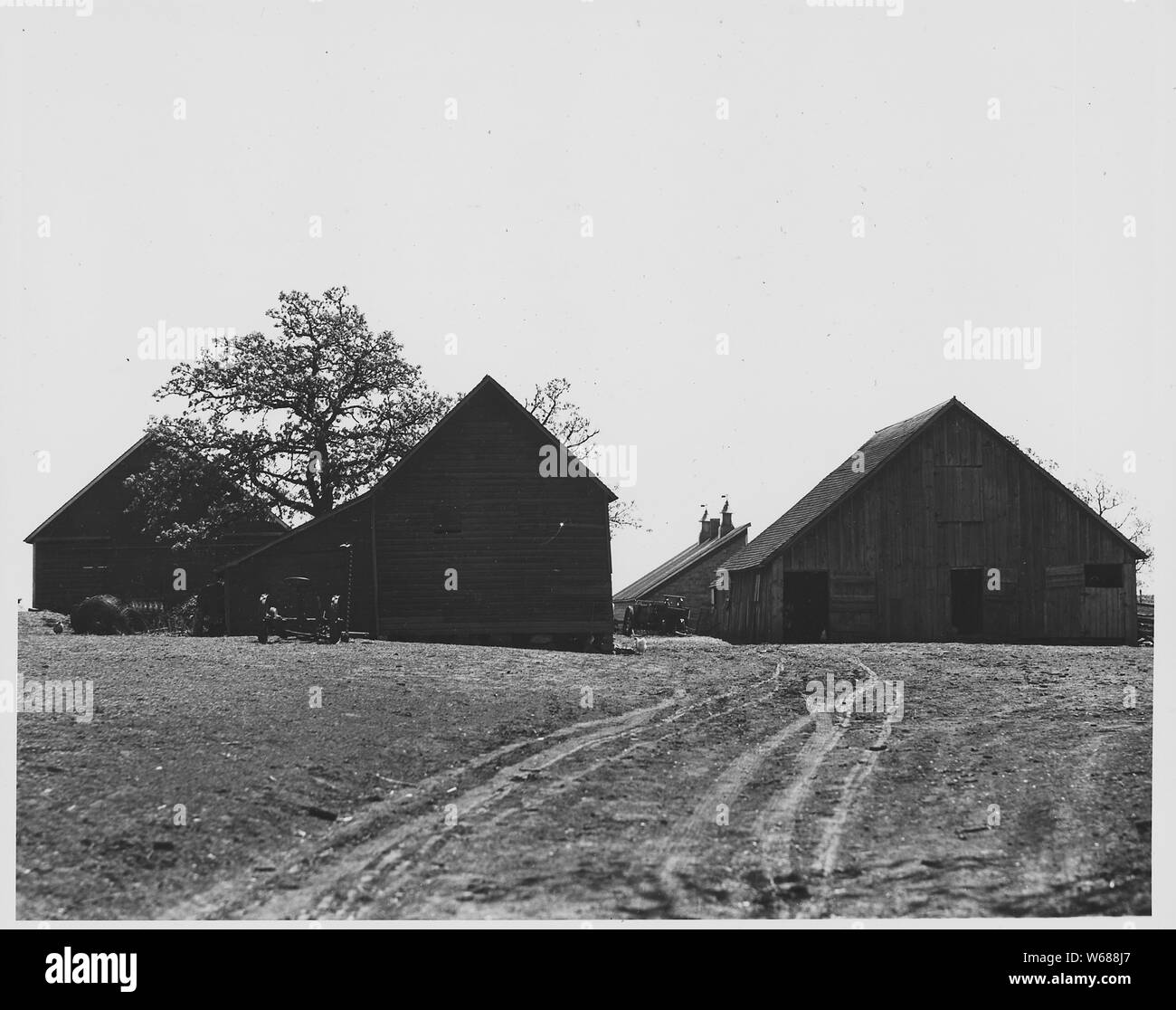 Shelby County, Iowa. Gebäude auf einer der wenigen heruntergekommenen Orte in der Grafschaft. Der Betreiber dieser. . .; Umfang und Inhalt: Die Bildunterschrift lautet wie folgt: Shelby County, Iowa. Gebäude auf einer der wenigen heruntergekommenen Orte in der Grafschaft. Die Betreiber der Farm ist ein alter Mann, und nicht verdienen genug, um Sie mit modernen Strukturen zu ersetzen. Weit unter dem lokalen Durchschnitt, diese Service Gebäude vergleichen sehr vorteilhaft mit anderen Regionen, insbesondere im Süden. Stockfoto