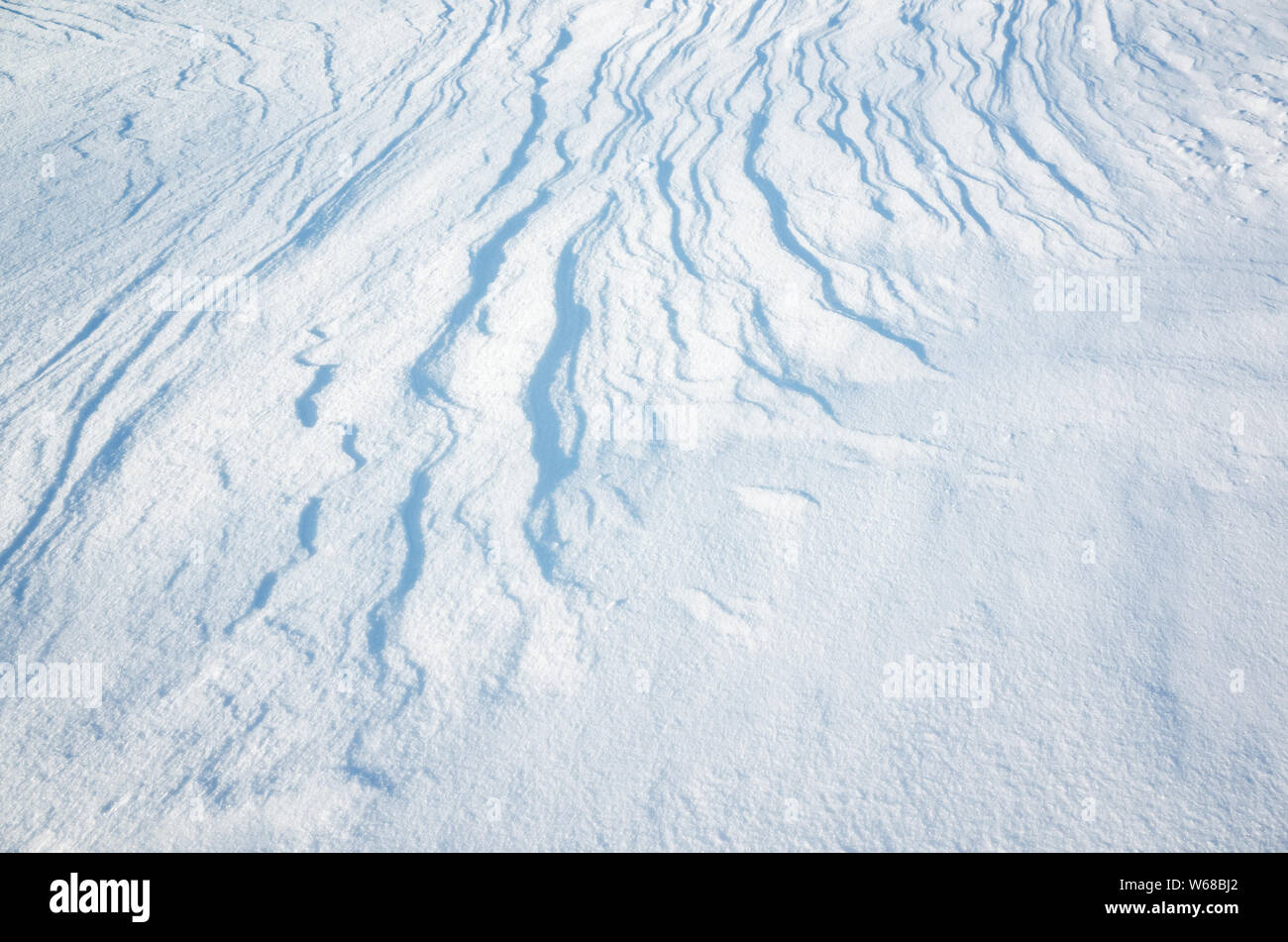 Abstrakte Natur Winter Hintergrund Textur, weißer Schnee Oberfläche mit gebogenen blauen Schatten Stockfoto