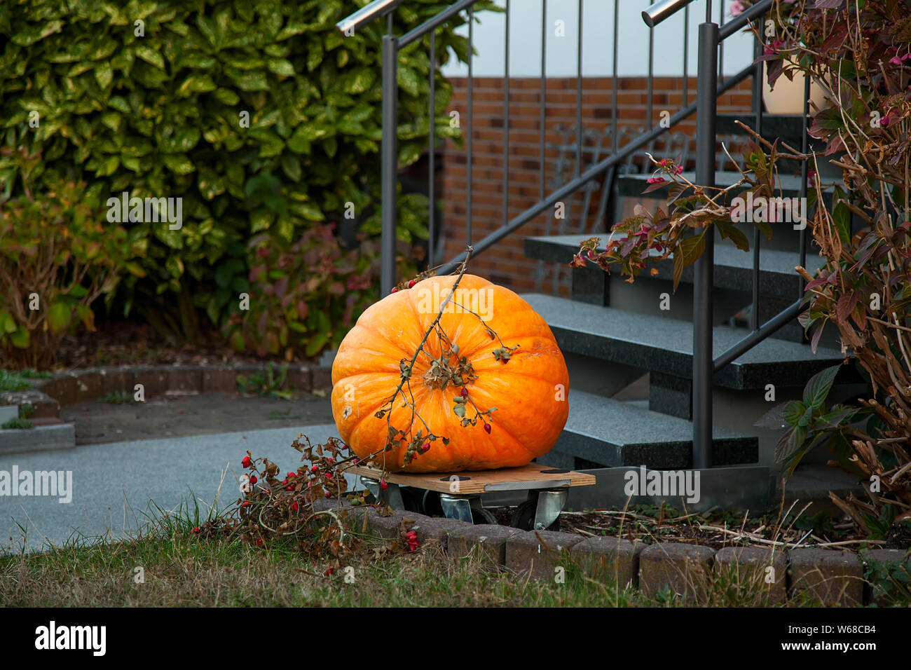 Große reife orange Kürbis auf der Veranda des Hauses im Herbst für den Urlaub Stockfoto