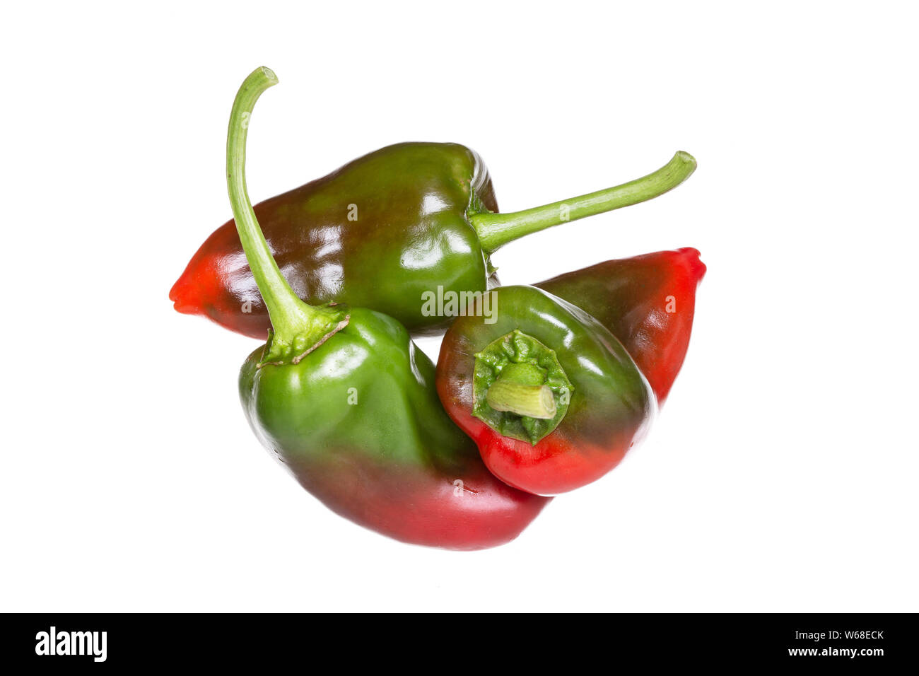 Gruppe von frischem rotem und grünem Pfeffer auf weißem Hintergrund. Capsicum annuum Sorten Stockfoto