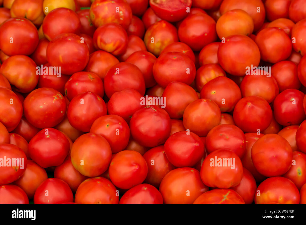 Frische Tomaten auf einen Obst- und Gemüsestand auf dem Marktplatz Stockfoto