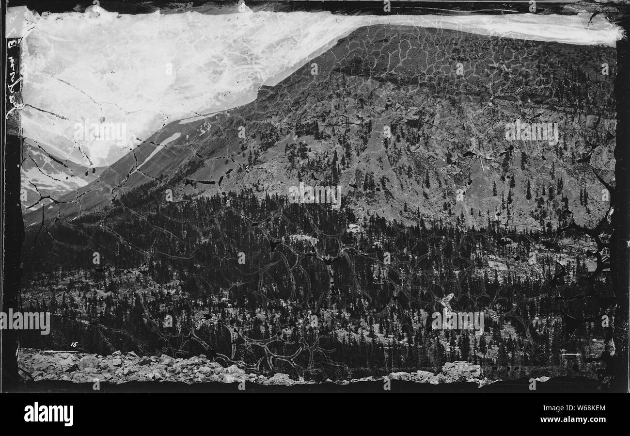 Der Norden oder rechten Wand der Buckskin Gulch, Mosquito Range. Park County, Colorado. Stockfoto