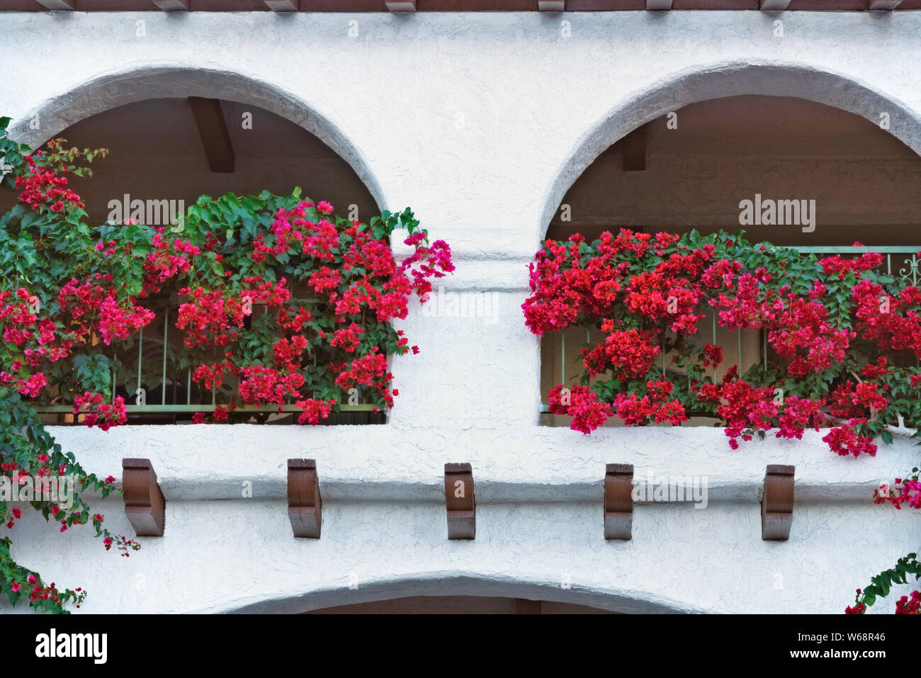Bougainvillea Blüten auf dem Balkon dieses Hotel in Palm Springs, Kalifornien. Stockfoto
