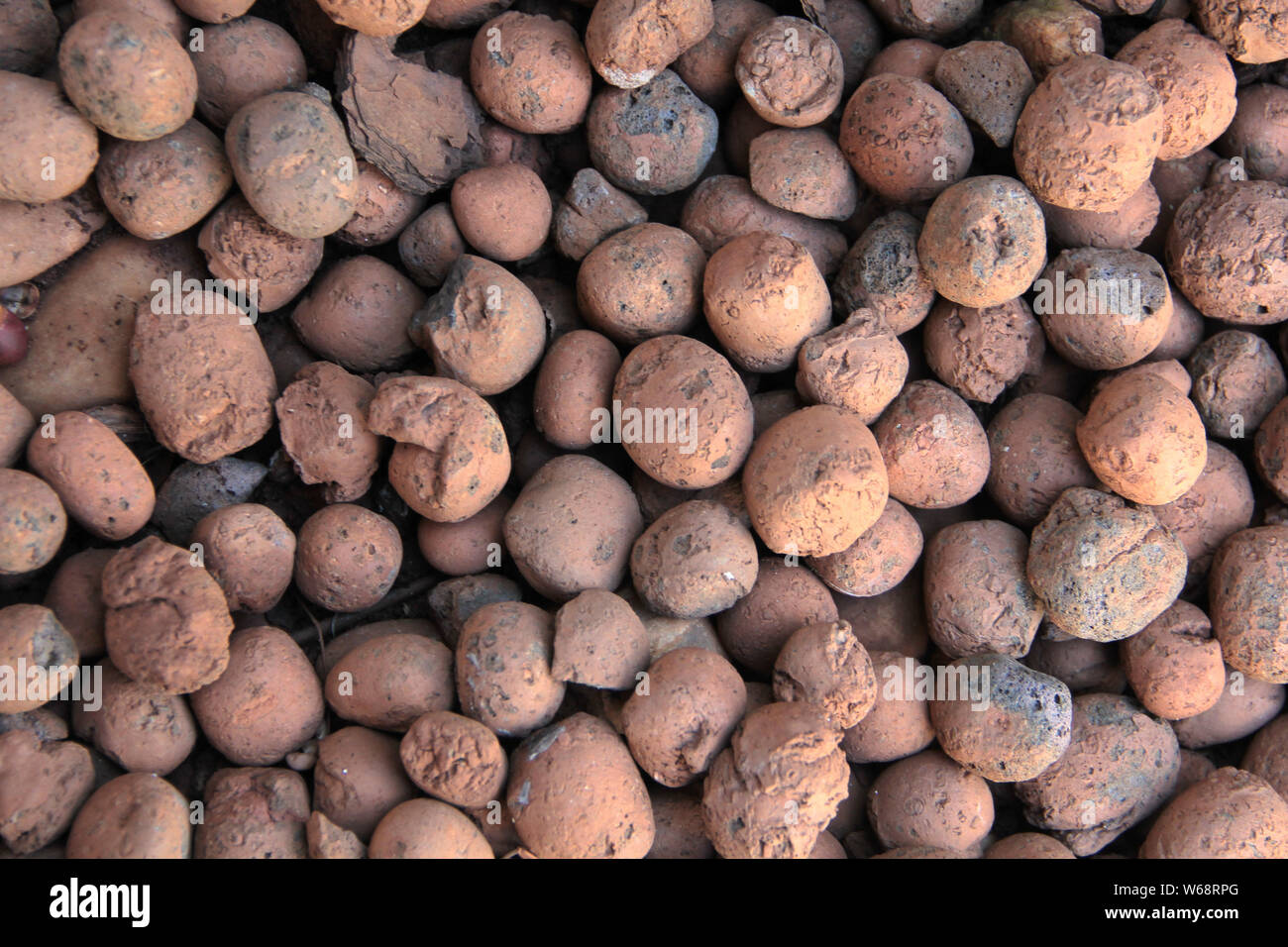 Rock natürliche Dekorative Stein für den Garten Stockfoto
