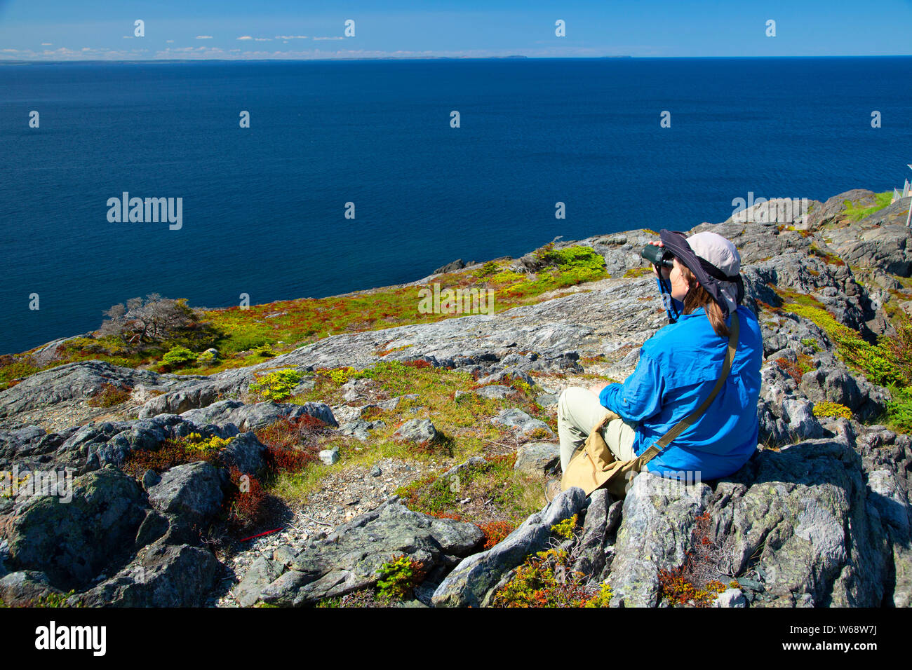 East Coast Trail, Cape St Francis, Neufundland und Labrador, Kanada Stockfoto
