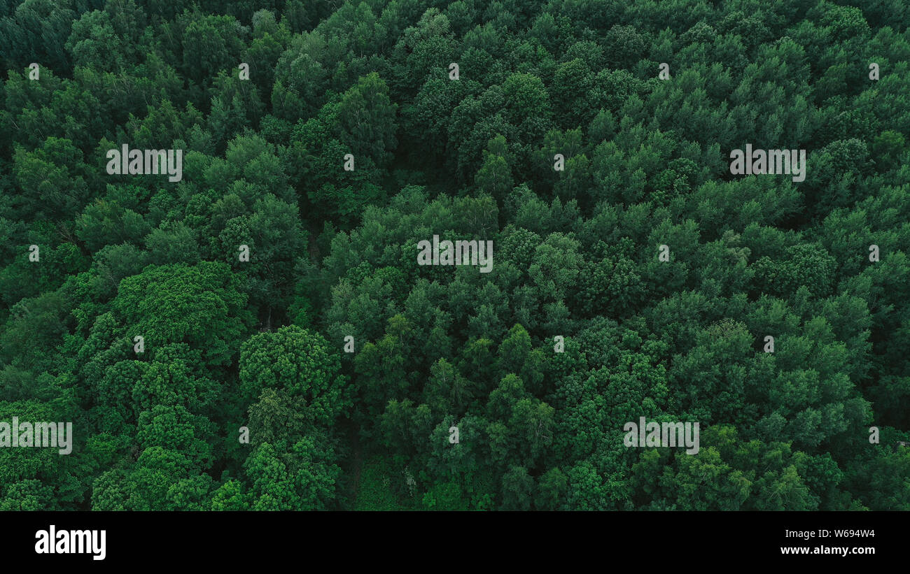 Landschaft von oben Stockfoto