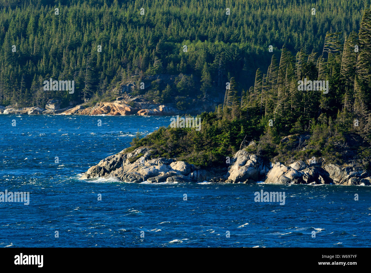 Johnstone Strait, Inside Passage, Vancouver Island, British Columbia, Kanada Stockfoto