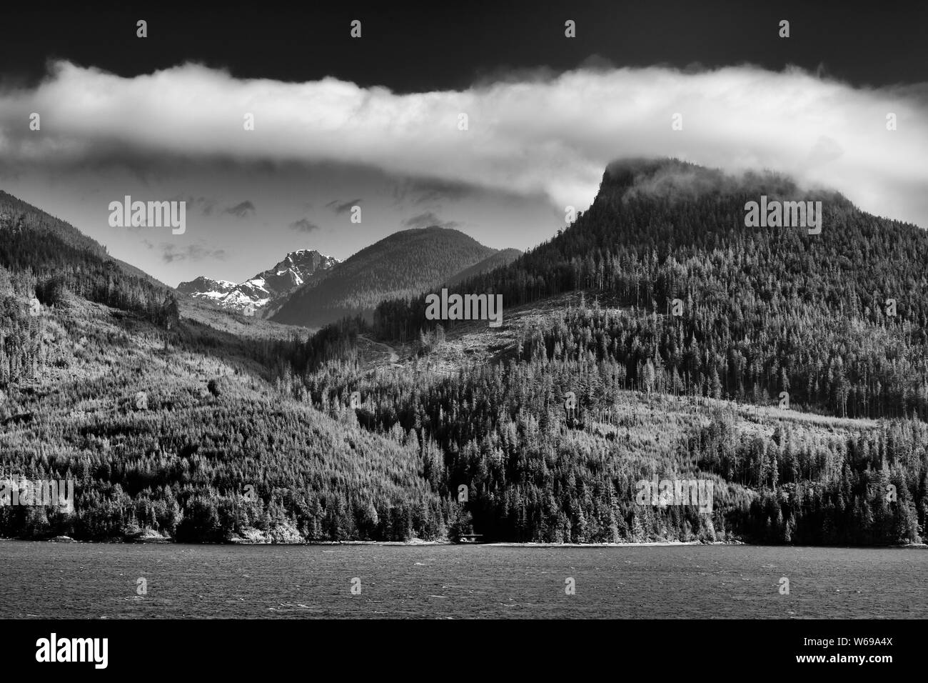 Inside Passage, Port McNeill, Vancouver Island, British Columbia, Kanada Stockfoto