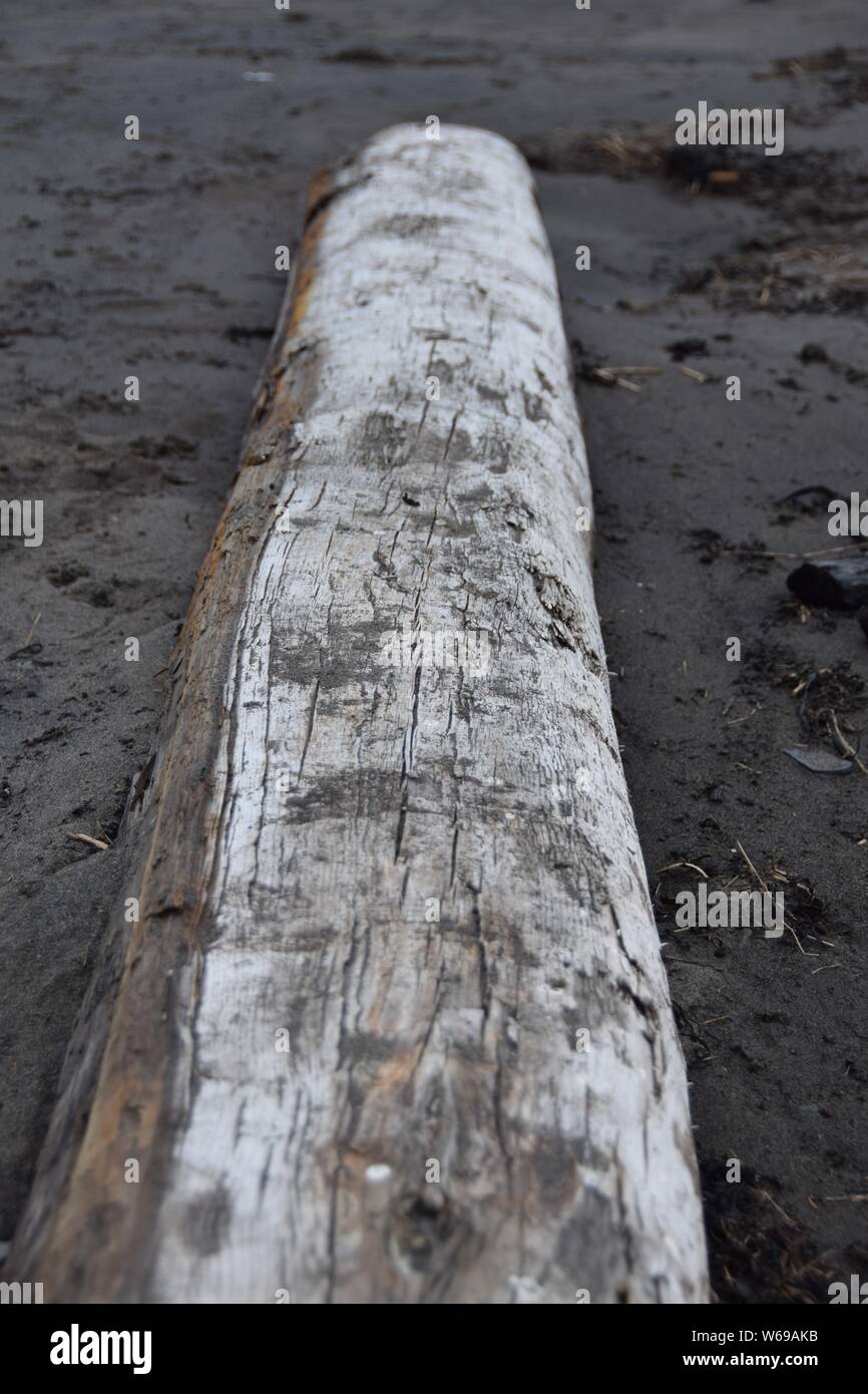 Sand verkrustet Log sitzen auf einem dunklen Sandstrand Stockfoto