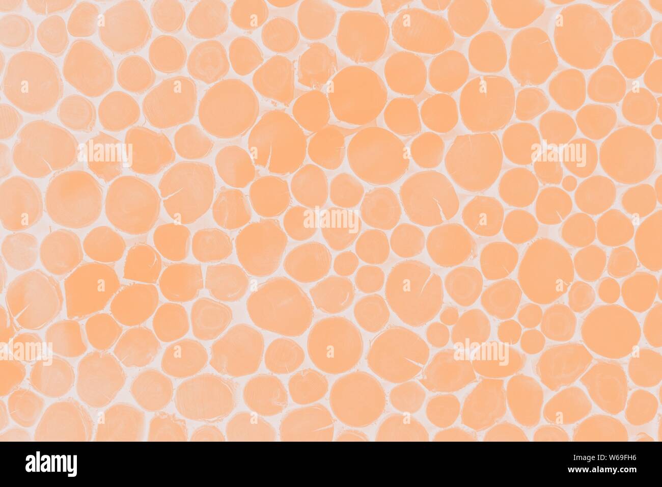 Hell-orange Pfirsich Farbe runde Muster auf einem hellen Hintergrund. Holz Textur Stockfoto