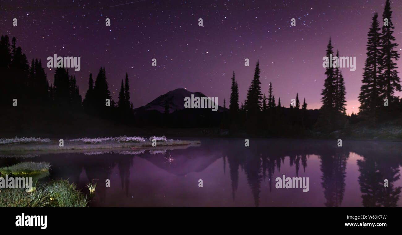 Mt Rainier bei Nacht mit Reflexionen im Teich, Washington Stockfoto