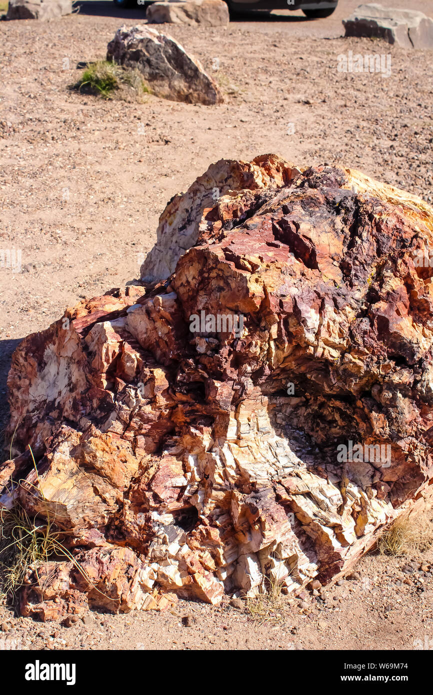 Versteinertes Holz in Jasper Forest. Petrified Forest National Park auf der Route 66 in Arizona Stockfoto