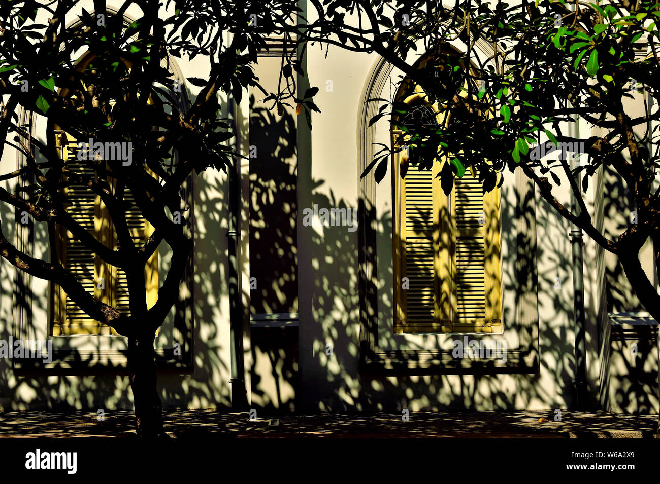 Alte Rundbogenfenster mit antiken gelben Fensterläden aus Holz auf einer Kirche außen von dunklen Schatten der Bäume in historischen Chijmes, Singapur gerahmt Stockfoto