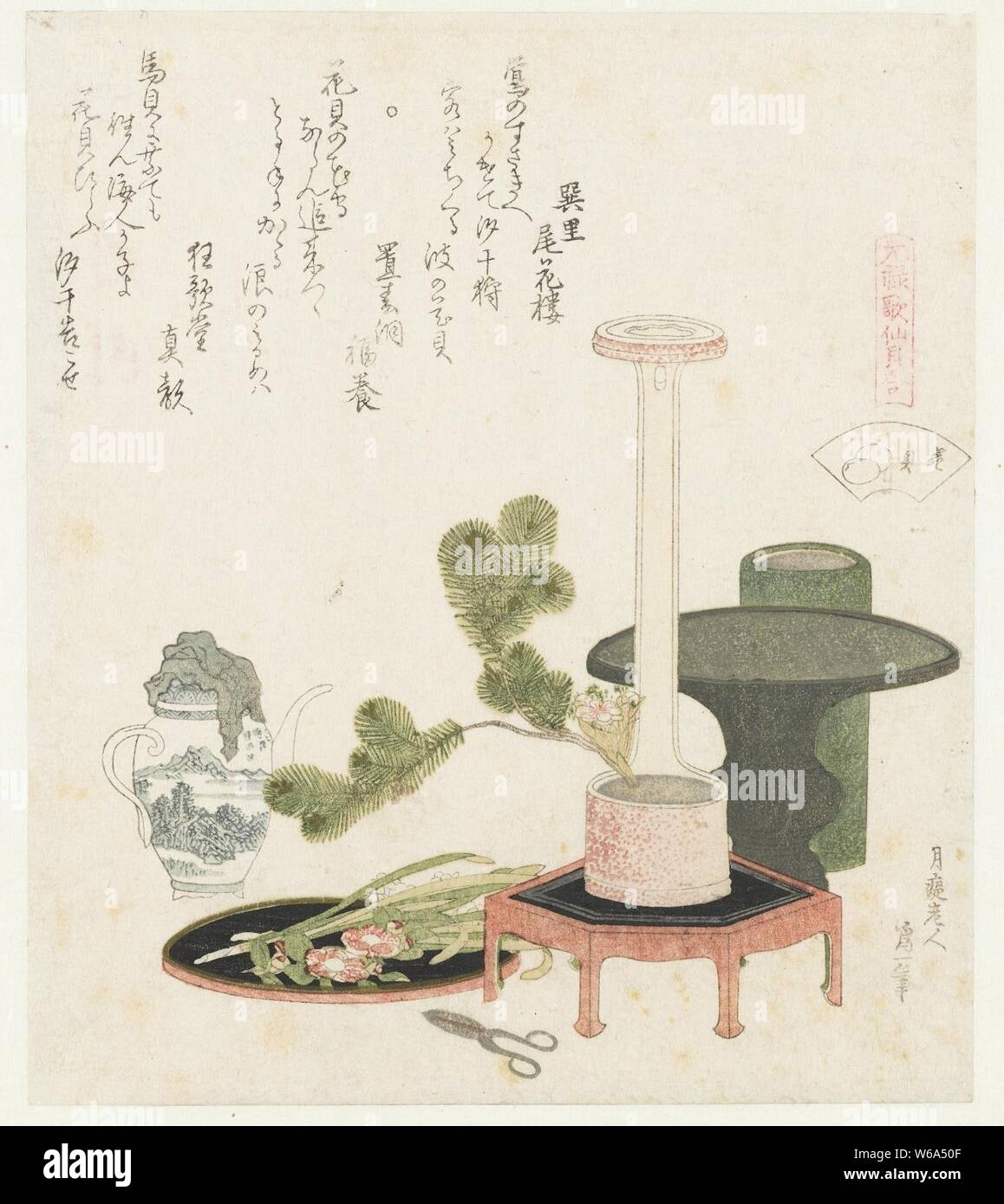 De bloem schelp - Stockfoto