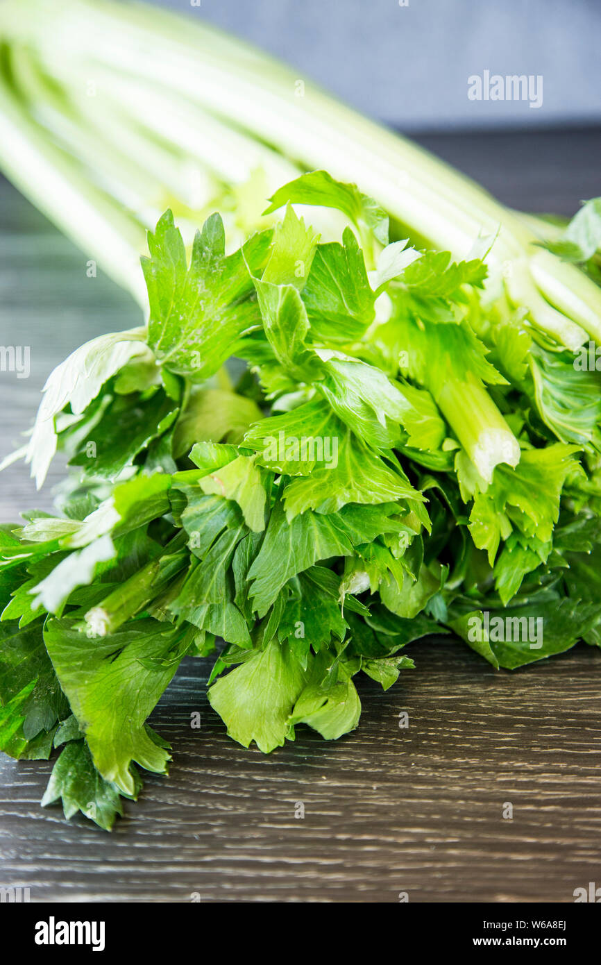 Frisches Bündel von Sellerie aus dem Supermarkt für einen köstlichen winter Eintopf in den Slow Cooker gekauft. Pulsierende grüne Blätter, hellgrünen Stengel Stockfoto