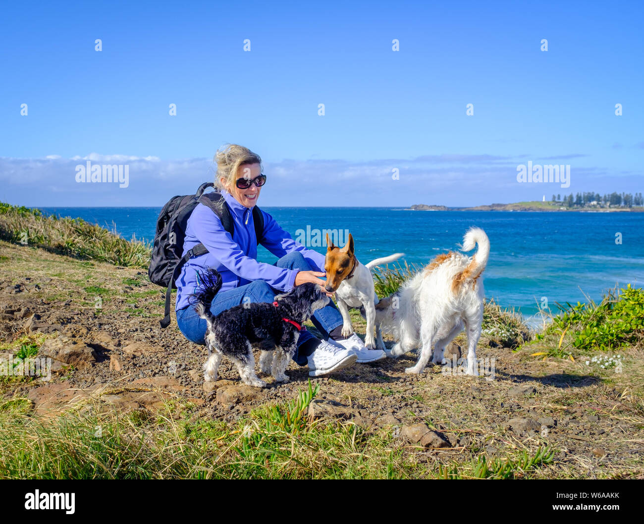 Glücklich gesund blonde Frau, 40 plus Alter in wanderkleidung Lachen und Spielen mit drei niedlichen Hunde Standortwahl auf Gras in der Nähe von Meer auf der sonnigen Tag Stockfoto