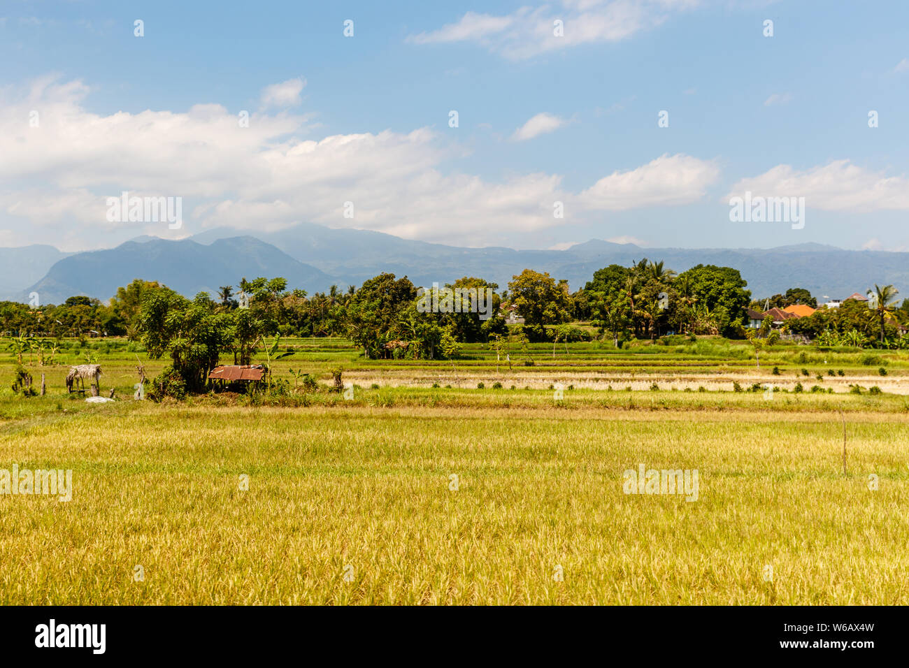 Ländliche balinesischen Landschaft mit Reisfeldern und die Berge. Buleleng, Bali, Indonesien Stockfoto