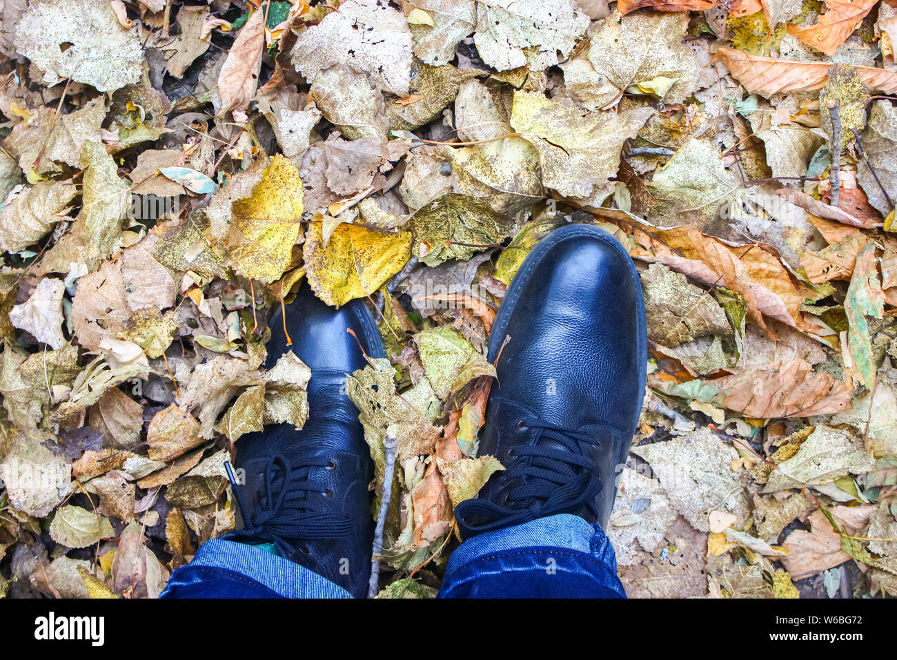 Eine Person aus Leder Schuhe laufen über tote Herbst foilage Blätter Stockfoto