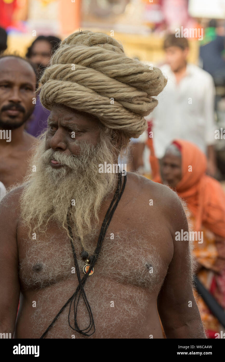 Porträt einer Naga Sadhu mit sehr langen Haaren in Prozession Kumbh Mela, Nasik, Maharashtra, Indien, Asien Stockfoto