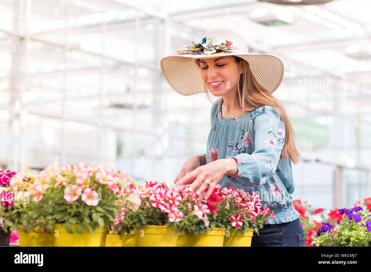 Gerne stilvolle junge Frau Auswahl eine bunte petunia Pflanze aus einem Sortiment von verschiedenen Farben in der Gärtnerei mit einem erfreuten Lächeln Stockfoto