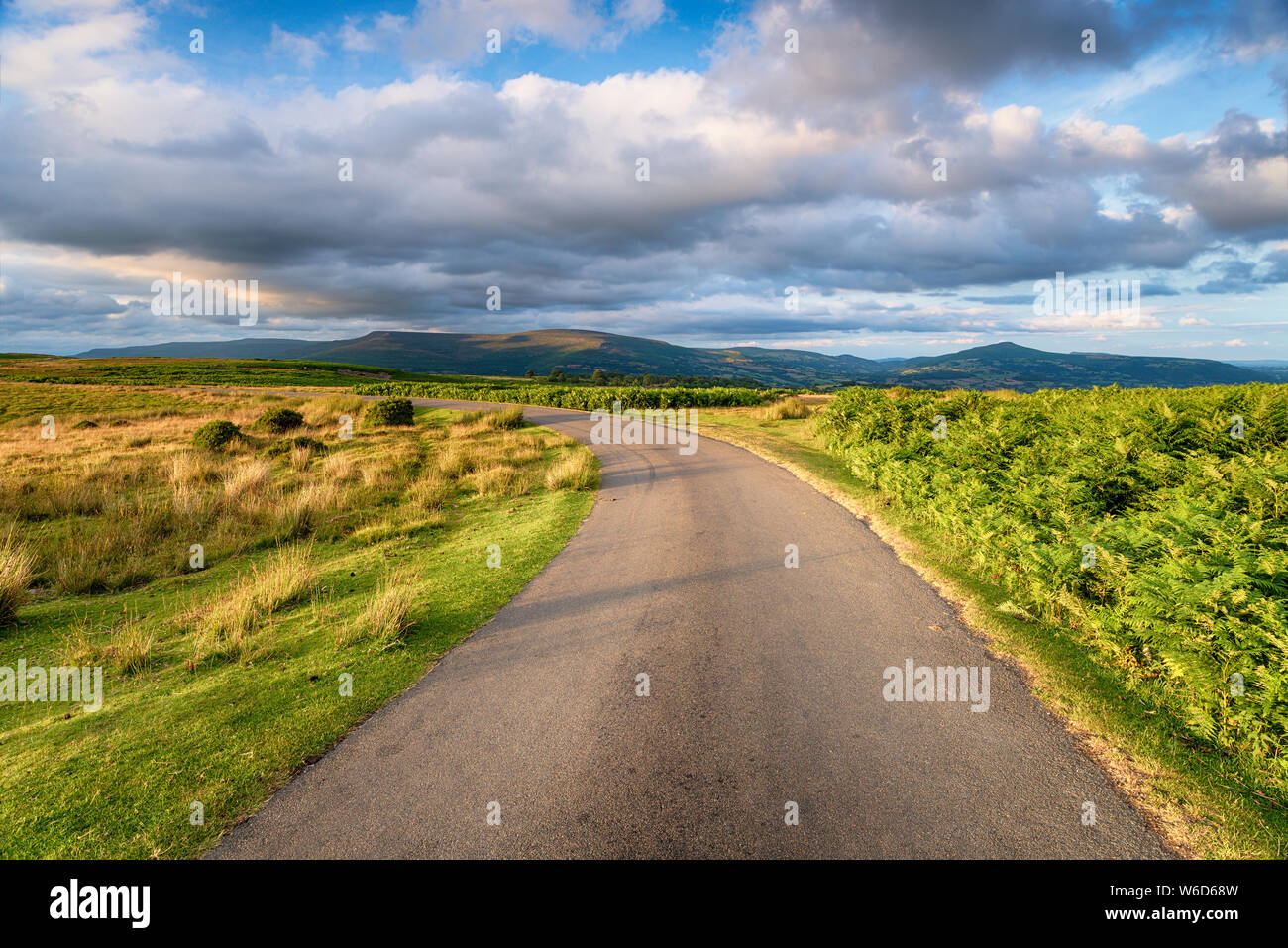 Ein Feldweg durch die Brecon Beacons in der Nähe von Llangottock mit dem Zuckerhut und Pen Cerrig Calch Berge in der Ferne Stockfoto