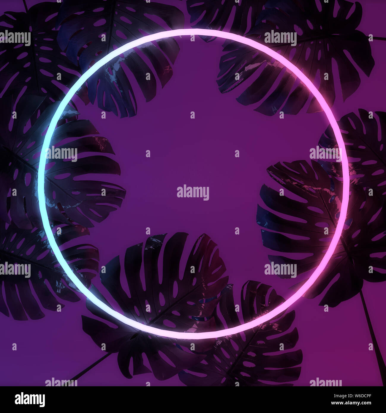 Leuchtende Neon Licht mit tropischen monstera Blatt. 3D-Rendering Stockfoto