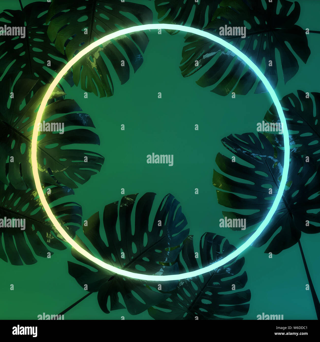 Leuchtende Neon Licht mit tropischen monstera Blatt. 3D-Rendering Stockfoto