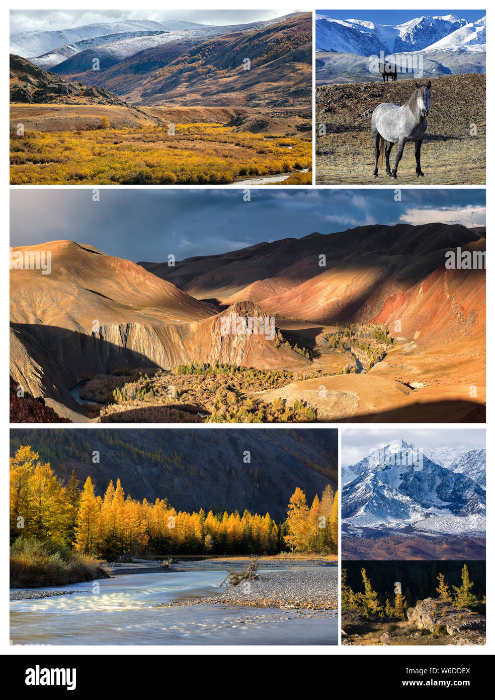 Collage aus Fotos mit Platz für Text. Herbst Landschaft mit aktru Fluss und Peak Caratash, chuya Fluss, Kurai Steppe und Berge, wilde Pferde und Stockfoto