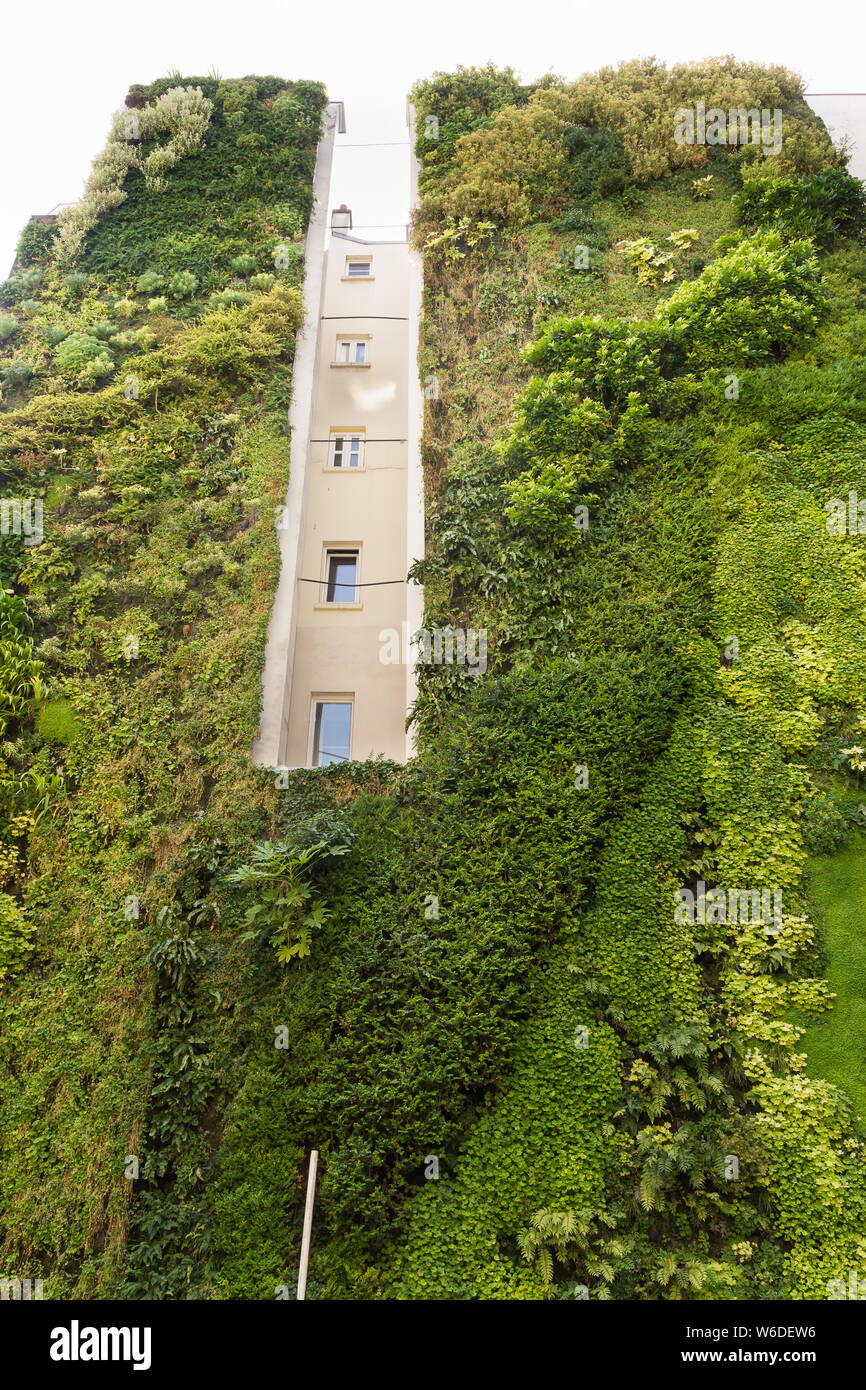 Living Wall Paris - vertikale Garten von Patrick Blanc auf der Rue d'Alsace" in Frankreich Paris, Frankreich, Europa. Stockfoto