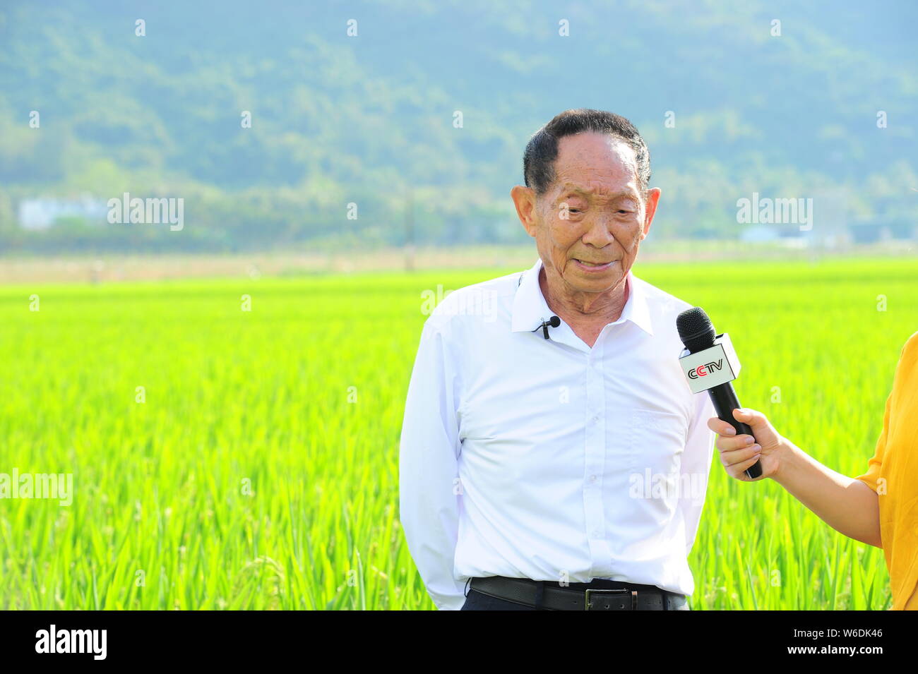 Chinesische Agrarwissenschaftler und Erzieher Yuan Longping, bekannt für die Entwicklung des ersten Hybrid-Reis-Sorten, die in den 1970er Jahren, durch eine jour interviewt wird Stockfoto