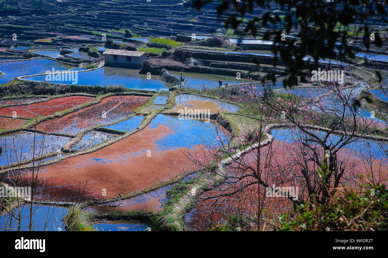 ------ Landschaft von terrassierten Reisfeldern Honghe der Hani Reisterrassen, einer von der UNESCO zum Weltkulturerbe erklärt, in Yuanyang County, Honghe der Hani Stockfoto