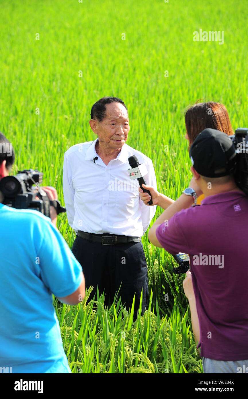 Chinesische Agrarwissenschaftler und Erzieher Yuan Longping, Links, bekannt für die Entwicklung des ersten Hybrid-Reis-Sorten, die in den 1970er Jahren, befragt von ist Stockfoto