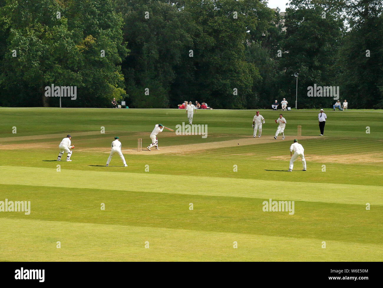Batsman und Feldspieler in Aktion an einem englischen Cricket Match in Arundel Castle Cricket Club Stockfoto