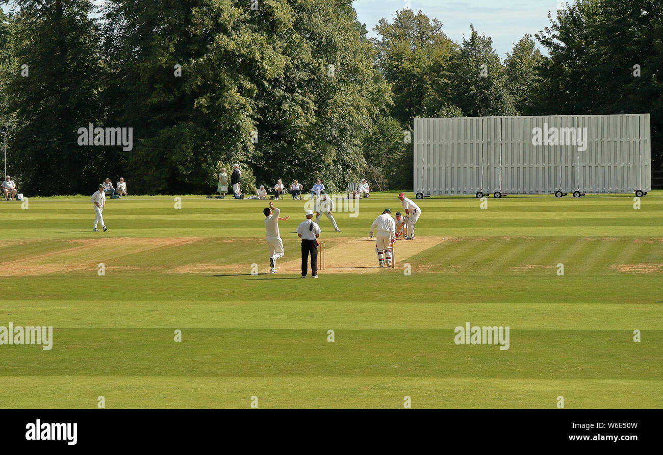 Batsman und Feldspieler in Aktion an einem englischen Cricket Match in Arundel Castle Cricket Club Stockfoto