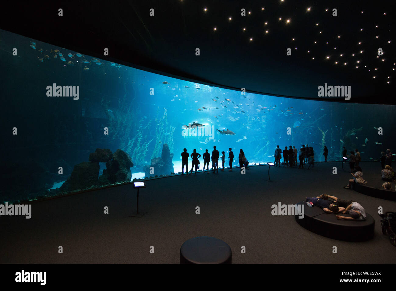 Las Palmas de Gran Canaria, Spanien - 28. Dezember 2018: Besucher genießen Sie einen wunderschönen Blick auf das Leben im Meer in der größte Behälter in Europa der neuen Aquarium Poema Stockfoto