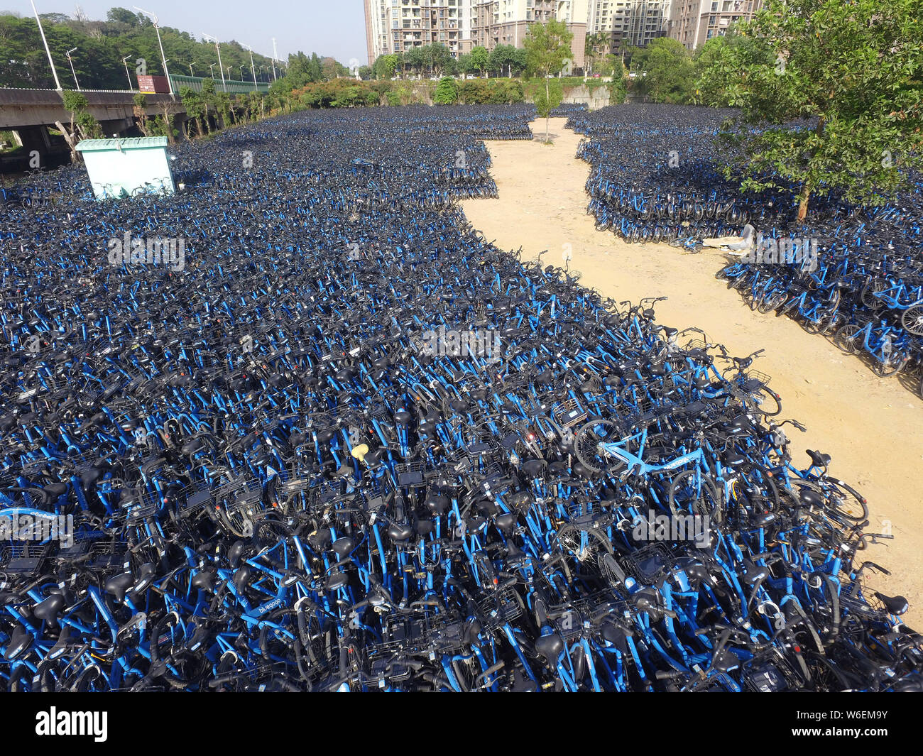 Luftaufnahme von Bluegogo Gemeinschafts-Fahrräder der chinesischen Taxifahrer hageln und Car-sharing service Didi Chuxing cramming einen Parkplatz in Shenzhen City, South Ch Stockfoto