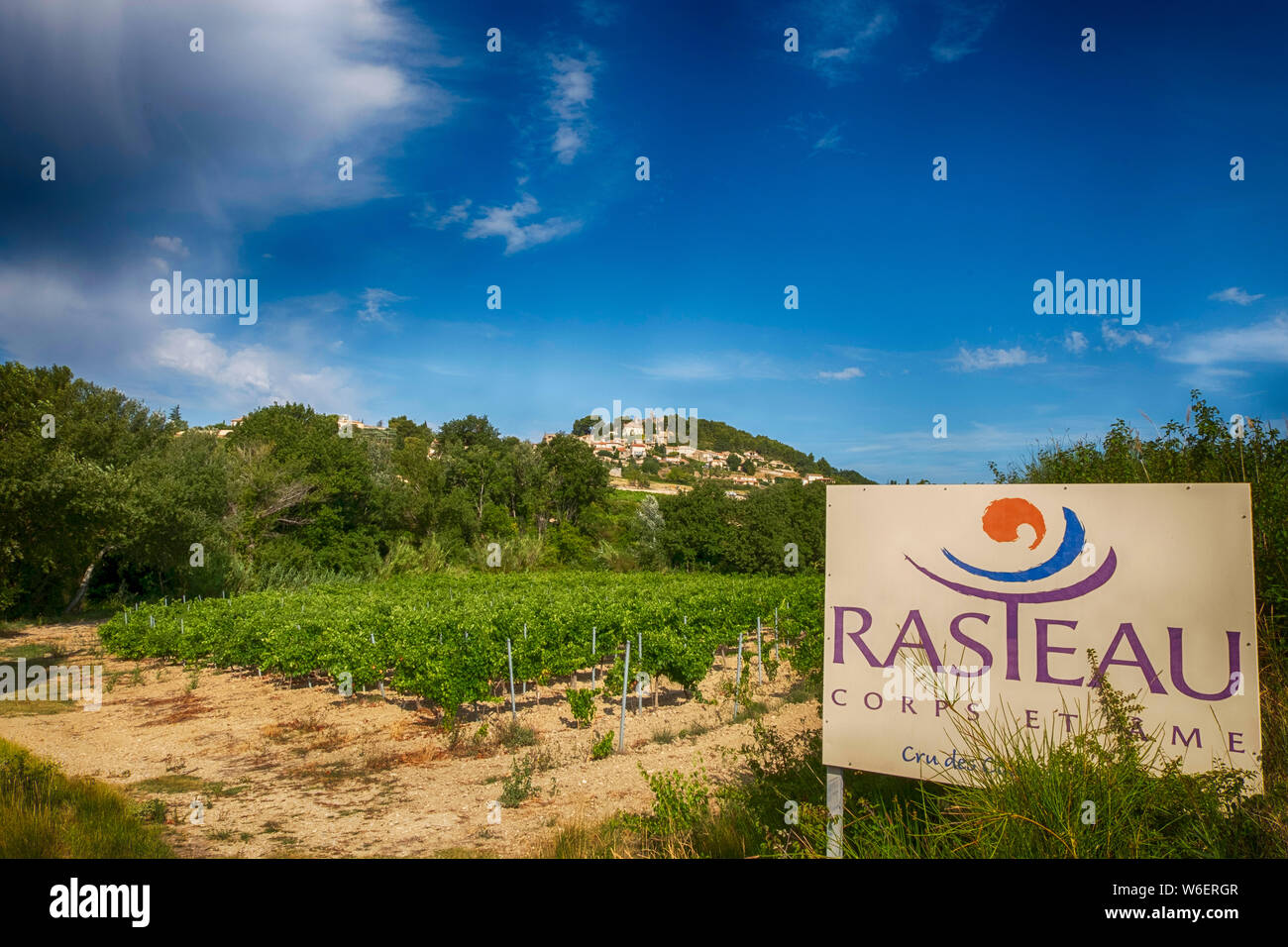 Die weinproduktion Dorf Rasteau, Provence-Alpes-Cote d'Azur, Frankreich Stockfoto