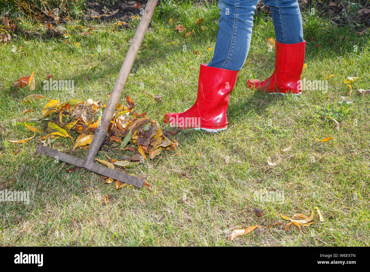Weibliche Gärtner in roten Gummistiefel reinigt ein Garten mit bin alt