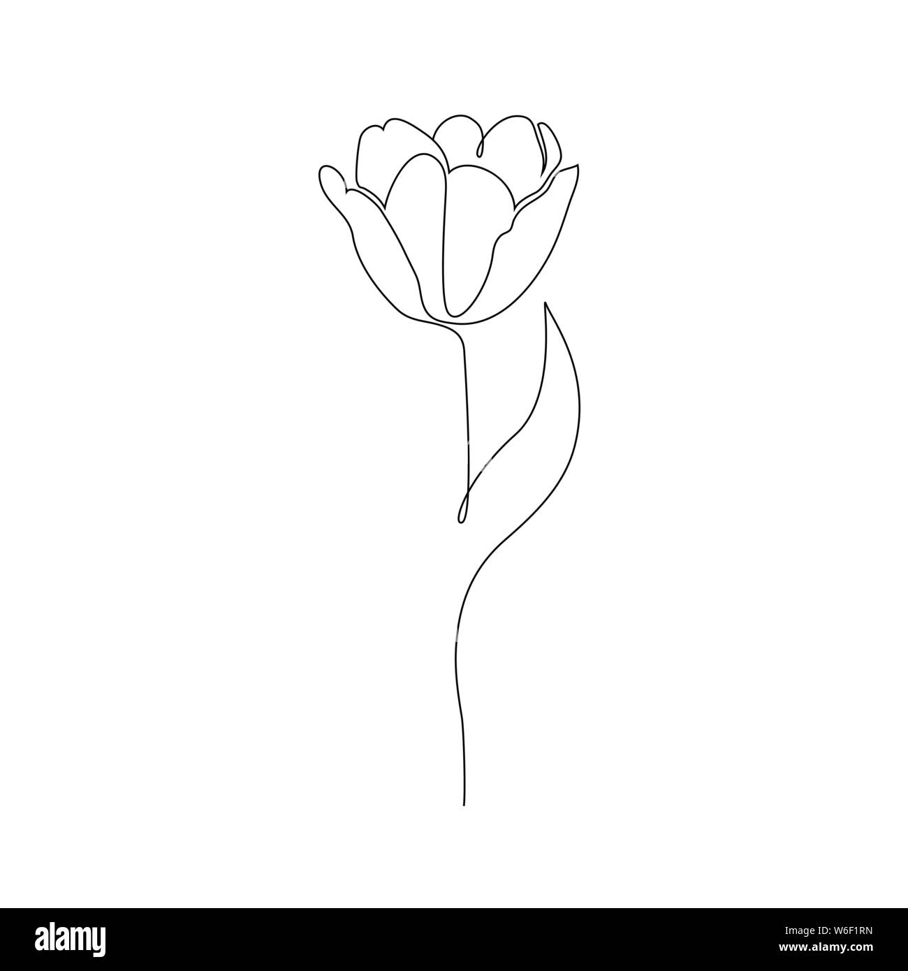 Tulip auf weißem Hintergrund. Eine Zeichnung Stil. Stock Vektor