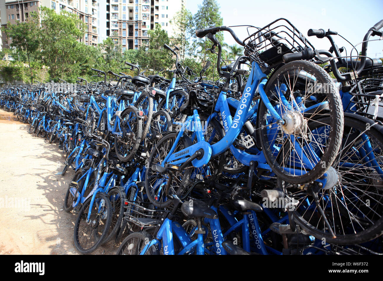 Luftaufnahme von Bluegogo Gemeinschafts-Fahrräder der chinesischen Taxifahrer hageln und Car-sharing service Didi Chuxing cramming einen Parkplatz in Shenzhen City, South Ch Stockfoto