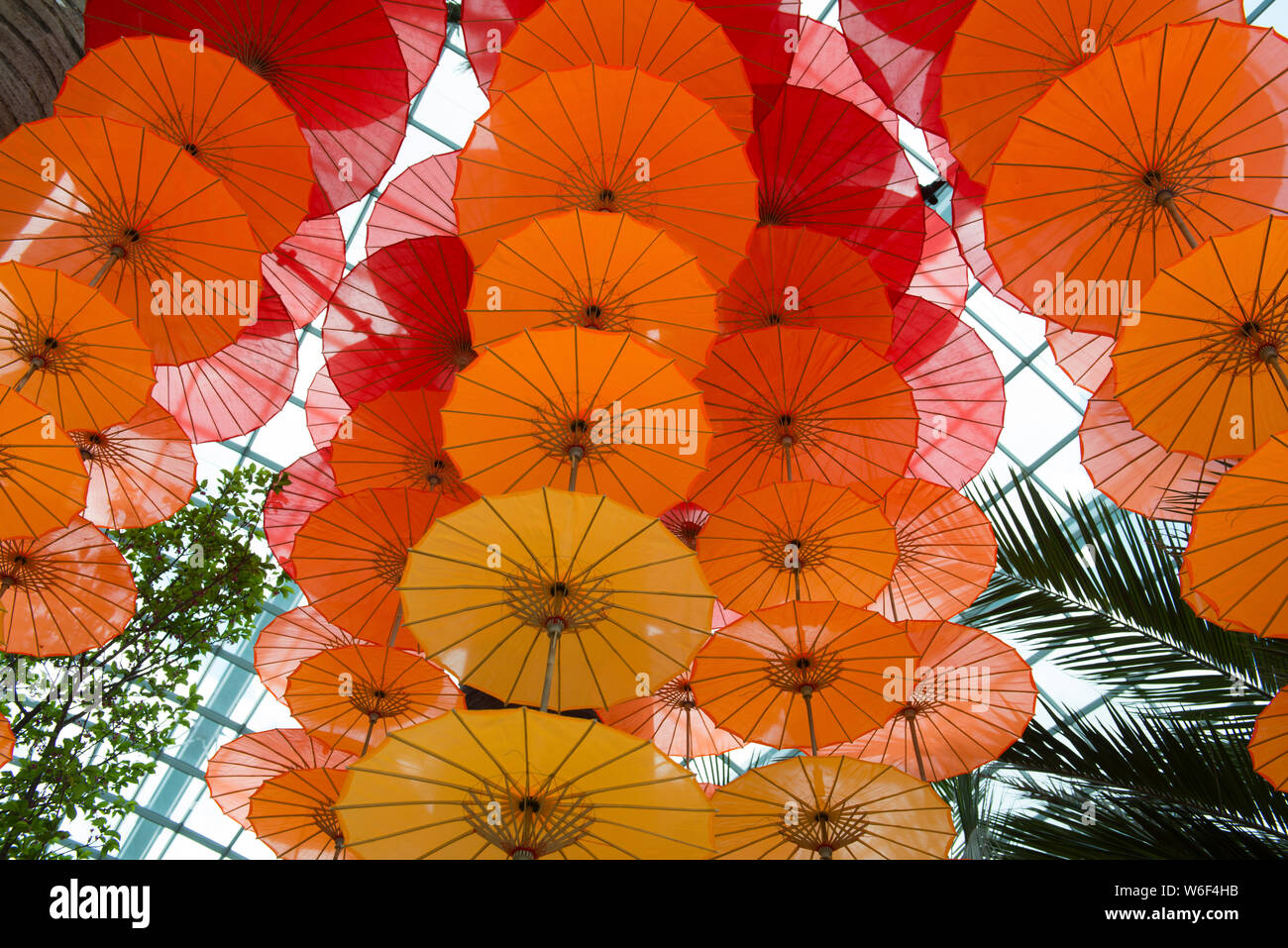 Chinesische Papier Regenschirme in der Großen Kuppel, die Gärten an der Bucht von Singapur Stockfoto