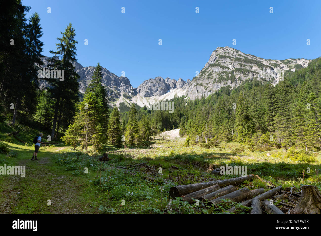 Mangfallgebirge im Sommer - Blick zum gipfelziel: Schinder Stockfoto