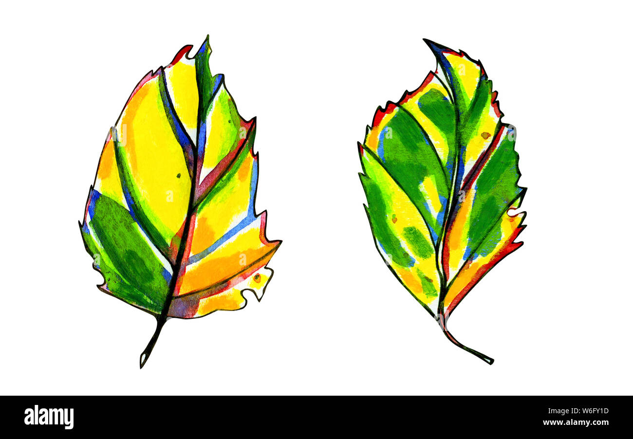 Zwei Aquarell stilisierte grafische Blätter im Herbst. Von Hand bemalt Pastell Gelb, Orange und Grün. Blaue, rote und schwarze Tinte Kontur. Isoliertes Objekt o Stockfoto
