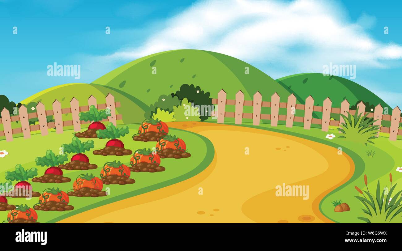 Landschaft Hintergrund Gestaltung von Garten mit Gemüse illustration Stock Vektor