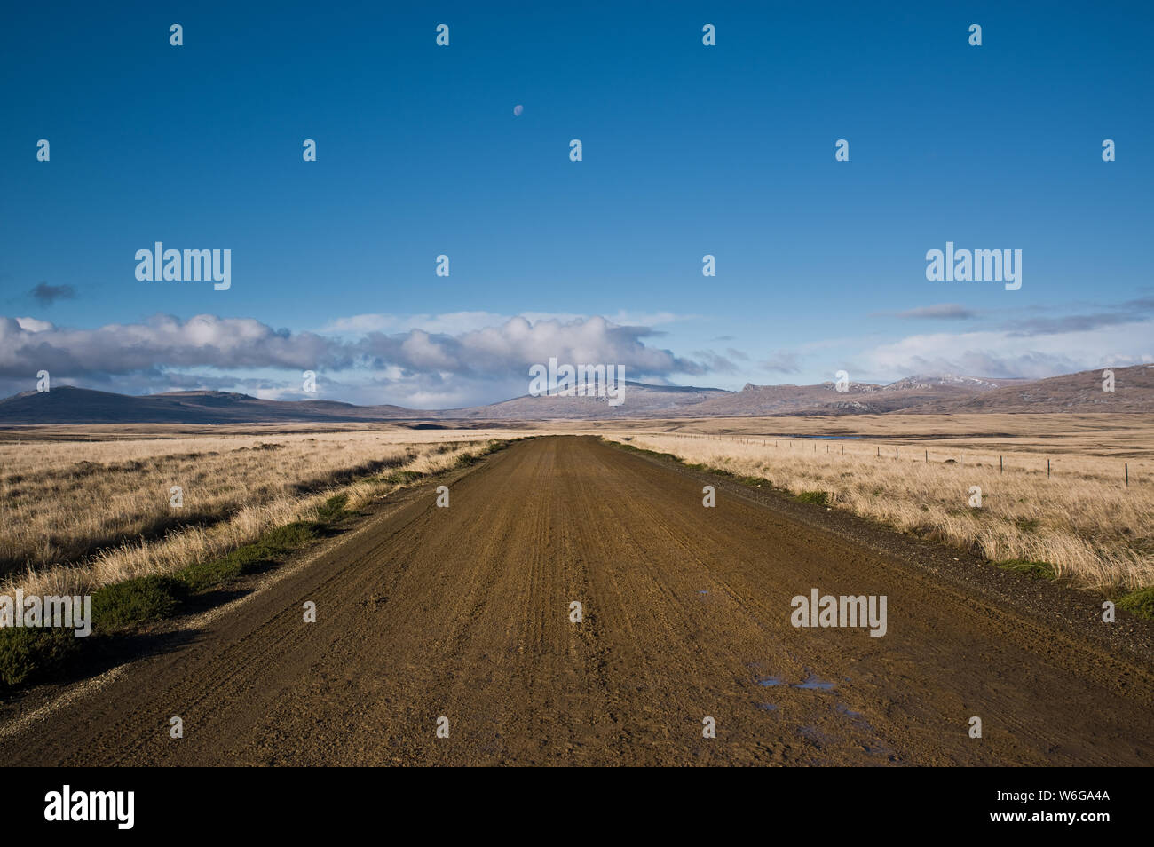 Ein Feldweg erstreckt sich in der Ferne auf der East Falkland. Stockfoto