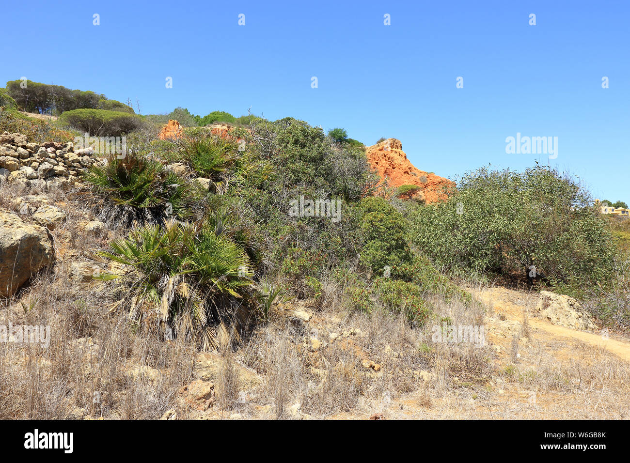 Das trockene Gras und grüne Bäume des Caminho Do Baleeira Naturschutzgebiet Stockfoto