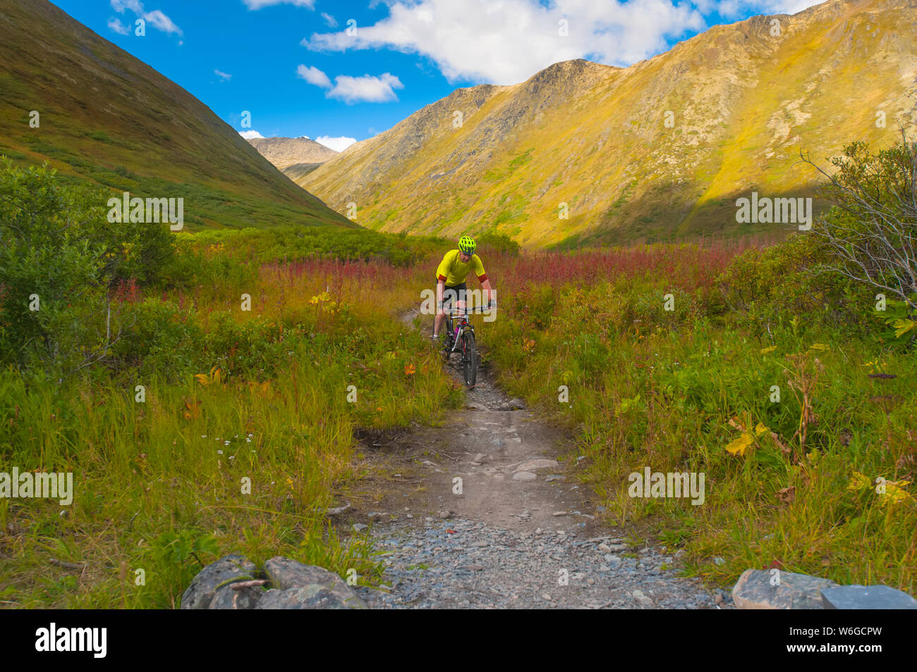 Ein Mann, der an einem sonnigen Sommertag auf dem Devil's Pass Trail in Süd-Zentral-Alaska, Alaska, USA, mit dem Mountainbike unterwegs ist Stockfoto