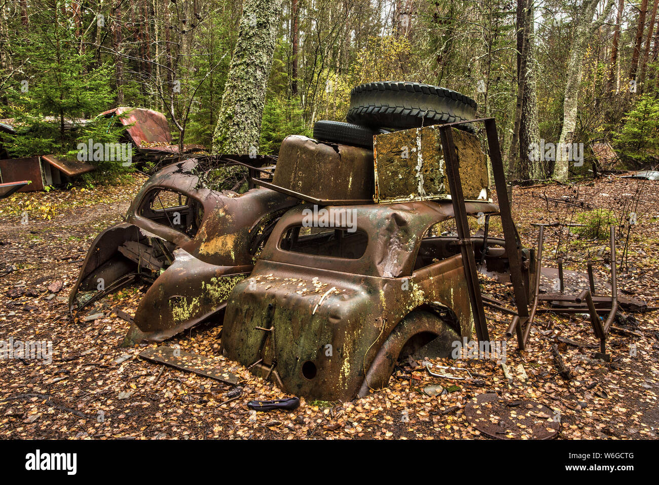 Alten rostigen Auto Schrott in einem Wald versteckt Stockfoto