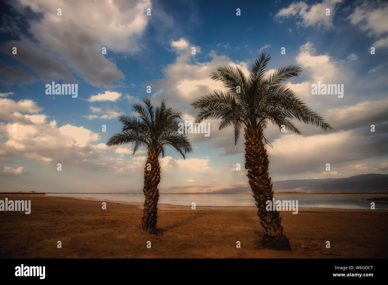 Zwei Palmen in cloudly blauer Himmel Stockfoto